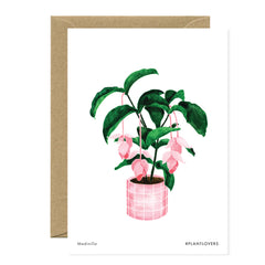 All The Ways To say - Card - Plant - Medinilla