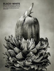 Black & White Photography