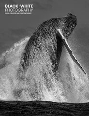 Black & White Photography