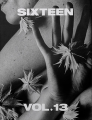 Sixteen Magazine Vol 13