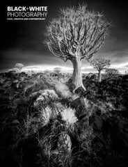 Black & White Photography