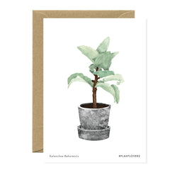 All The Ways To say - Card - Plant - Kalanchoe